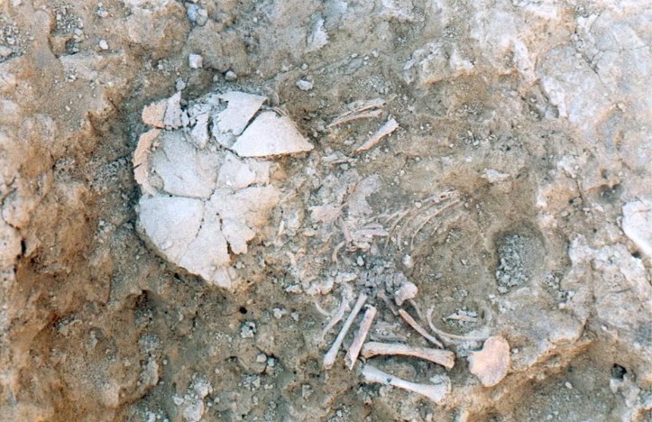 שרידים מקבר של תינוק עם תסמונת דאון מתקופת הברזל. צילום: ממשלת נבארו וג'יי.אל לריון