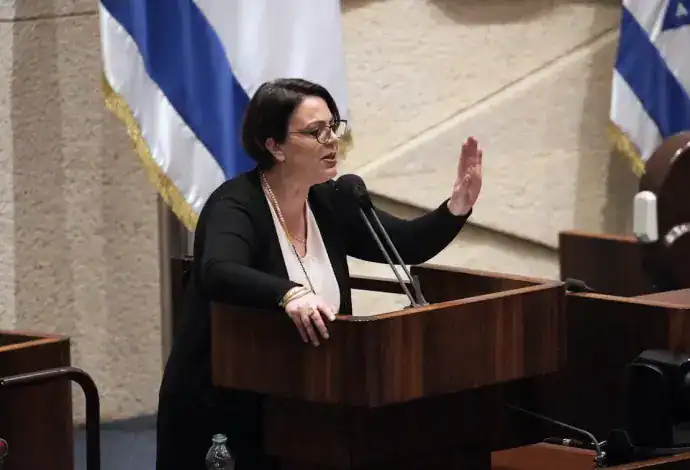 חברת הכנסת גלית דיסטל אטבריאן במליאה. צילום: דני שם טוב, דוברות הכנסת