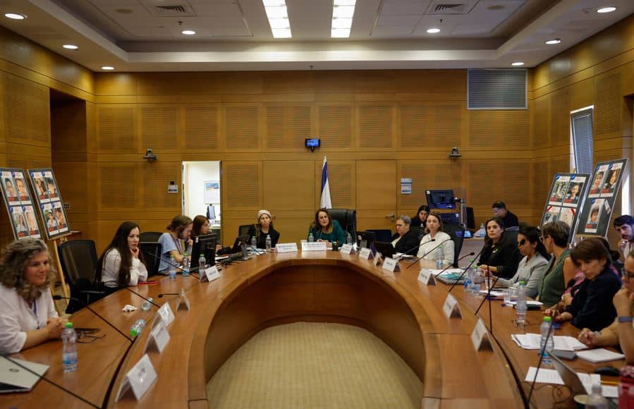 הדיון בוועדה לזכויות הילד, הכנסת (צילום: נועם מושקוביץ, דוברות הכנסת)
