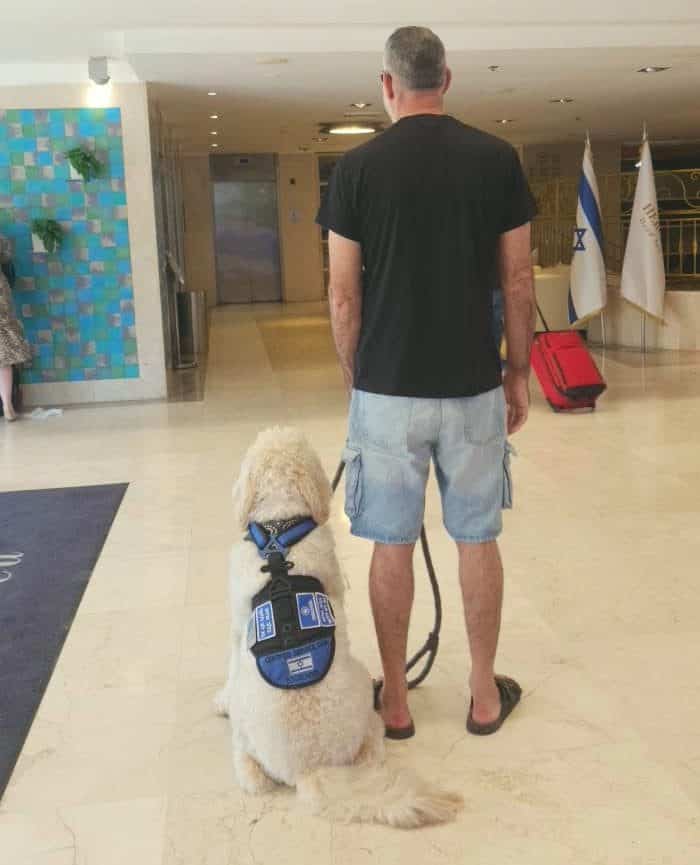 אודי יעקב וכלבו